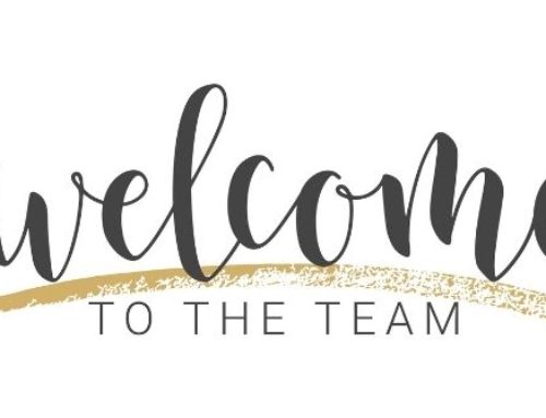 TE Digital Welcomes New Team Members